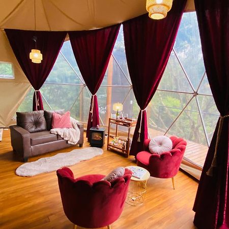 Feliza Rainforest Domes Monteverde Exteriér fotografie